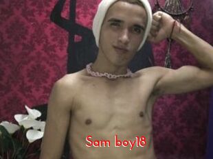sam_boy18 The Sex