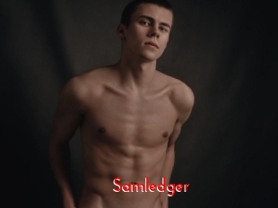 Samledger