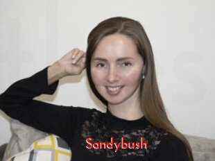 Sandybush