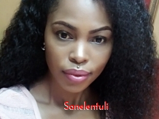 sanelentuli The Sex