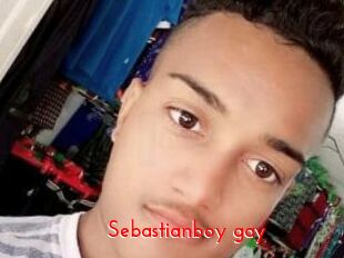 sebastianboy_gay The Sex
