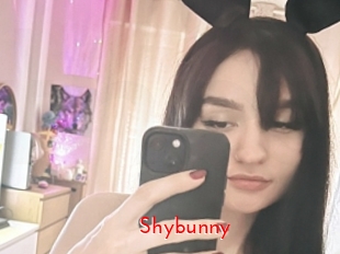 Shybunny