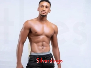 Silverdingo