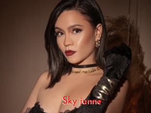 Sky_junne