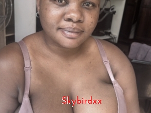 Skybirdxx