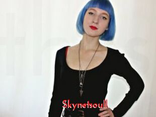 Skynetsoull