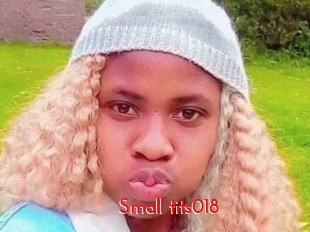 Small_tits018