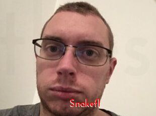 Snakefl