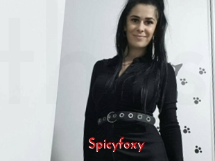 spicyfoxy The Sex