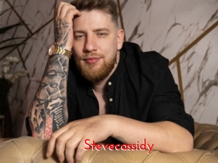 stevecassidy The Sex