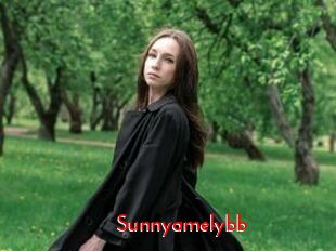 Sunnyamelybb