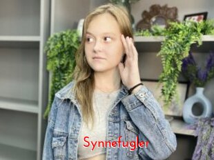Synnefugler