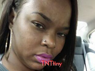 T_N_Ttiny