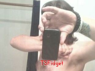 TSFidget