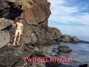 TWINKELIKINGUD