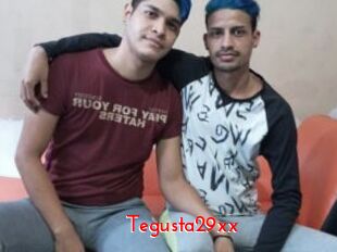 Tegusta29xx