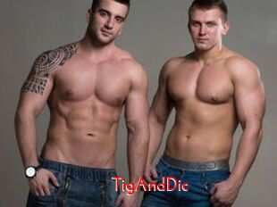 TigAndDic