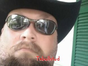 Txbullstud