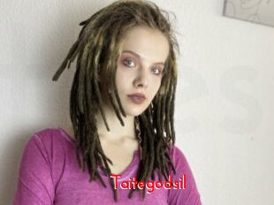 Taitegodsil