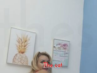The_cat