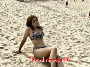 Thepalmtreegirl18