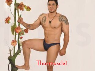 Thormuscle1
