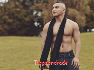 Tiagoandrade