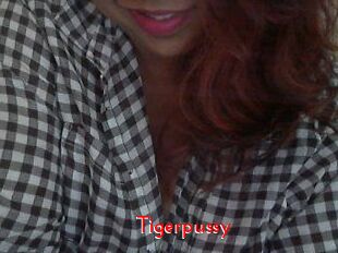 Tigerpussy
