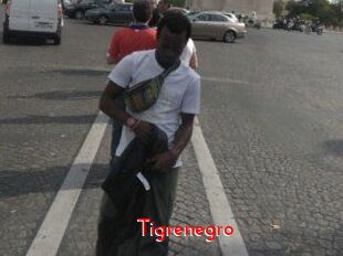 Tigrenegro