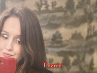 Tinamit