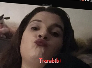 Transbibi