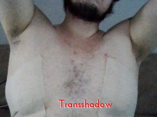 Transshadow