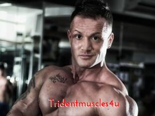 Tridentmuscles4u