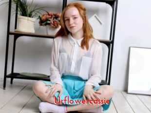 Urflowercassie