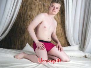 Urnicepitt