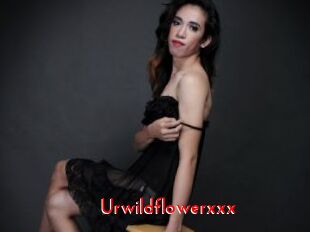 Urwildflowerxxx