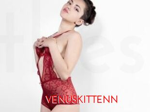VENUSKITTENN