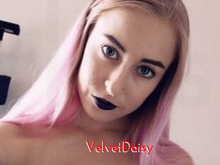 VelvetDaisy