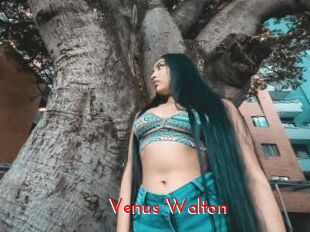 Venus_Walton