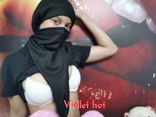 Viollet_hot