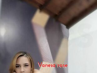 Vanesa_rose