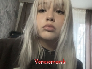 Vanesamarsh