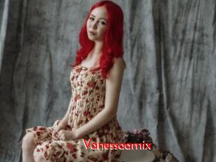 Vanessaamix
