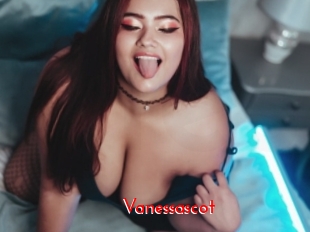 Vanessascot
