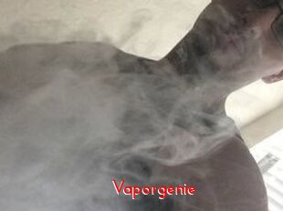 Vapor_genie