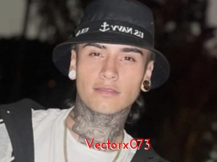 Vectorx073