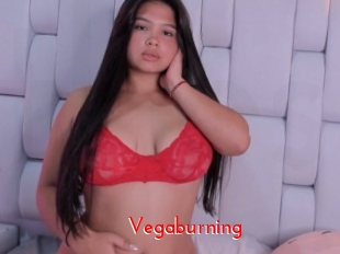 Vegaburning