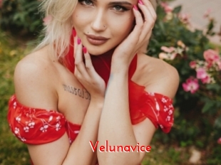 Velunavice
