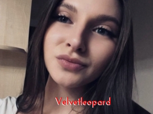 Velvetleopard