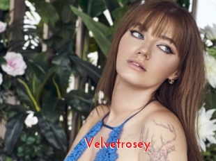 Velvetrosey